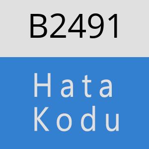 B2491 hatasi