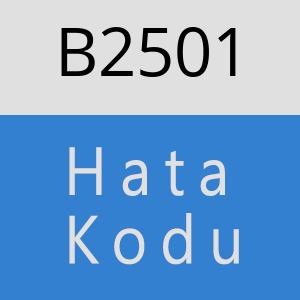 B2501 hatasi