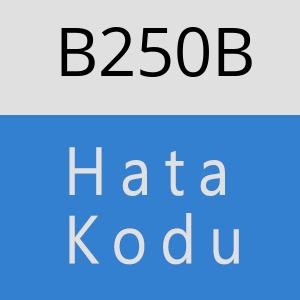 B250B hatasi