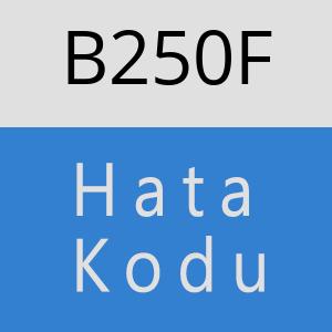 B250F hatasi
