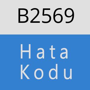 B2569 hatasi