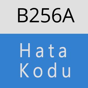 B256A hatasi