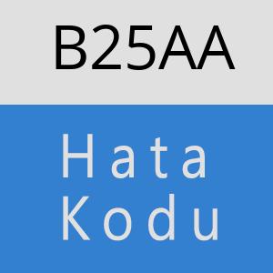 B25AA hatasi