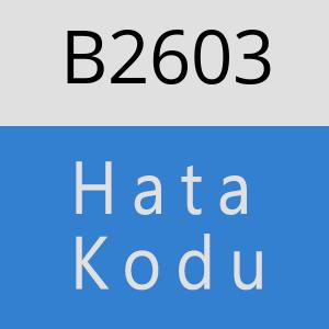 B2603 hatasi