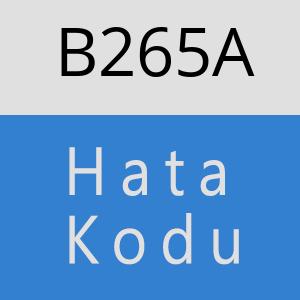 B265A hatasi