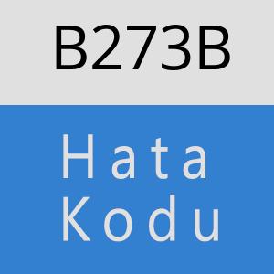 B273B hatasi