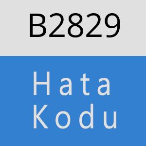 B2829 hatasi