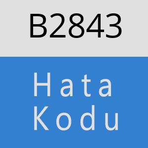 B2843 hatasi