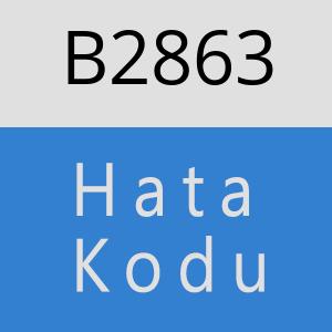 B2863 hatasi