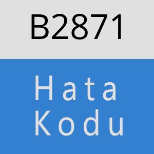 B2871 hatasi