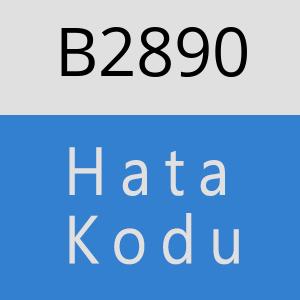 B2890 hatasi