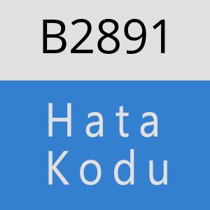 B2891 hatasi