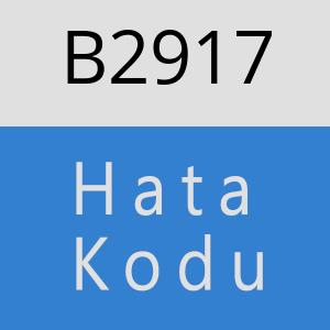 B2917 hatasi