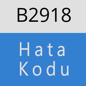 B2918 hatasi