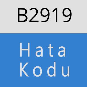 B2919 hatasi