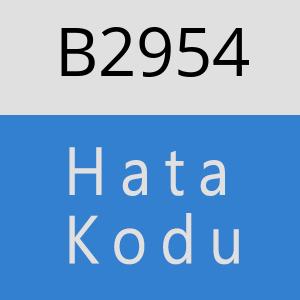 B2954 hatasi