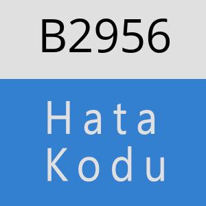 B2956 hatasi