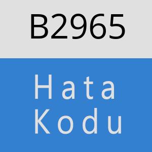 B2965 hatasi