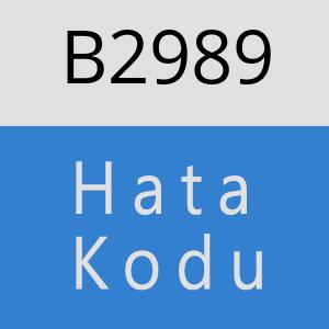 B2989 hatasi