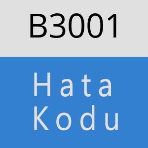 B3001 hatasi