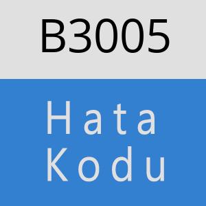 B3005 hatasi