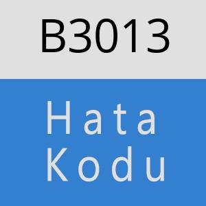 B3013 hatasi