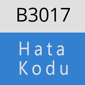 B3017 hatasi