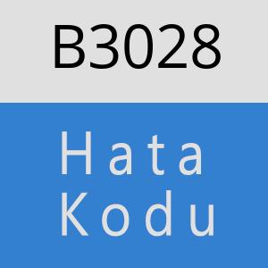 B3028 hatasi