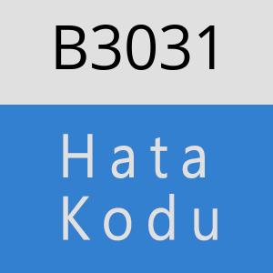 B3031 hatasi