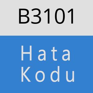 B3101 hatasi