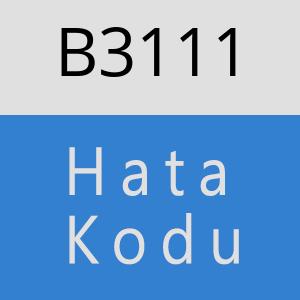 B3111 hatasi