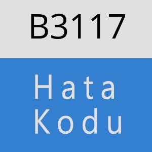 B3117 hatasi