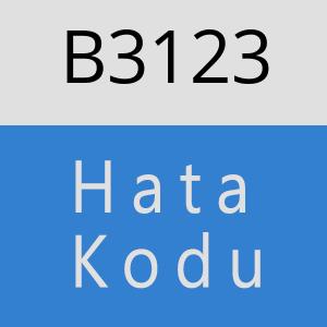 B3123 hatasi