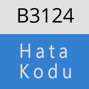 B3124 hatasi