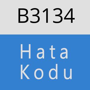 B3134 hatasi