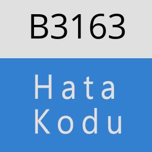 B3163 hatasi