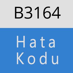 B3164 hatasi