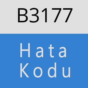 B3177 hatasi