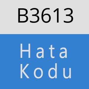 B3613 hatasi