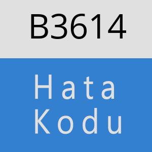 B3614 hatasi