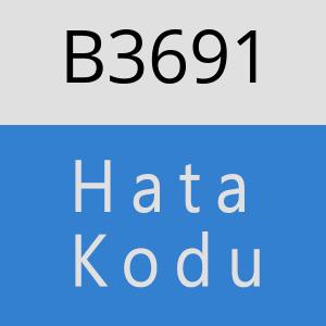 B3691 hatasi