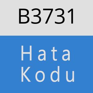 B3731 hatasi