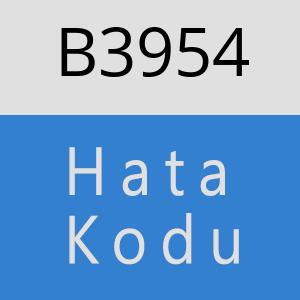 B3954 hatasi