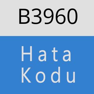 B3960 hatasi