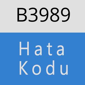 B3989 hatasi