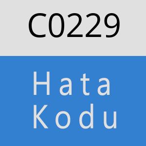 C0229 hatasi