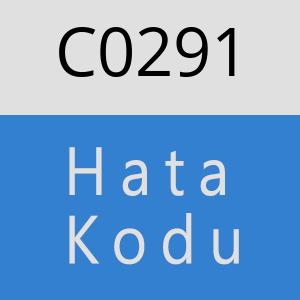 C0291 hatasi