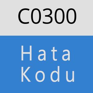 C0300 hatasi