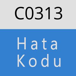 C0313 hatasi