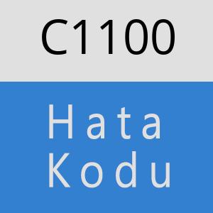 C1100 hatasi